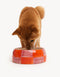 BLOCK DOGBOWL - PINK / ORANGE