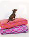 Block dog bed - blue / raspberry