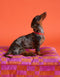 Block dog bed - orange / magenta