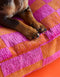 Block dog bed - orange / magenta